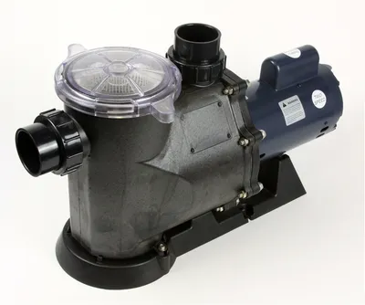 Complete swimming pool pump with strainer basket housing and the two-speed electric motor that usually fails first.